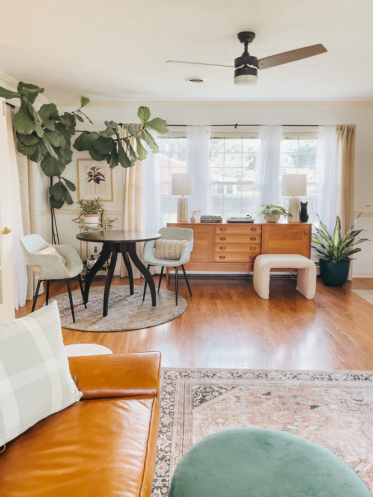 How To Kitten-Proof Your Home