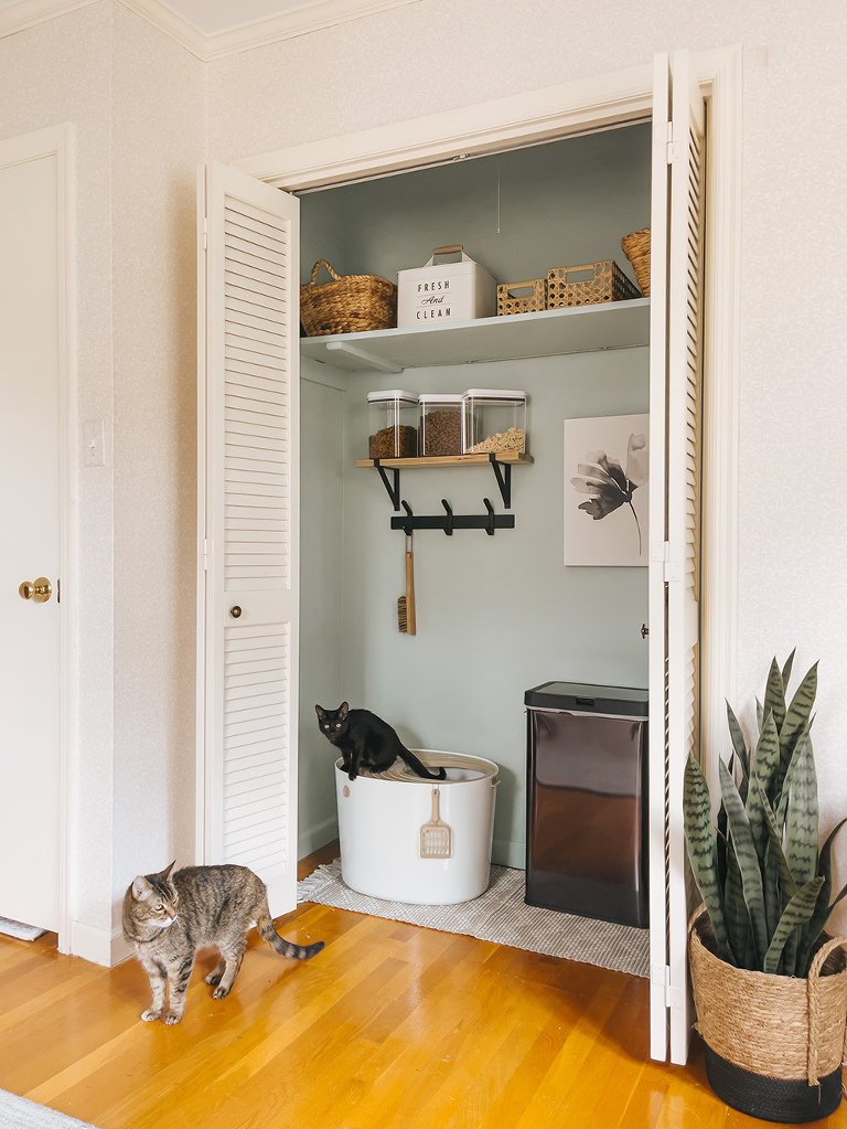 From Unused Closet To Cat Litter Cubby