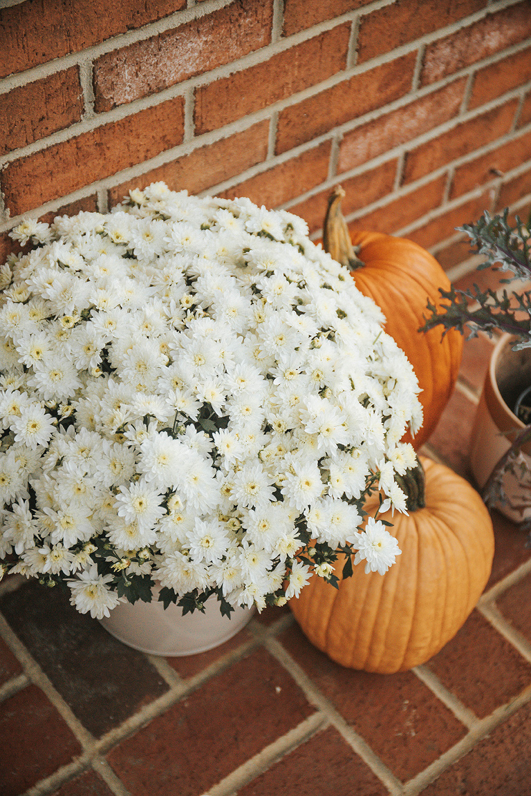 Harvest Halloween Porch Décor Ideas