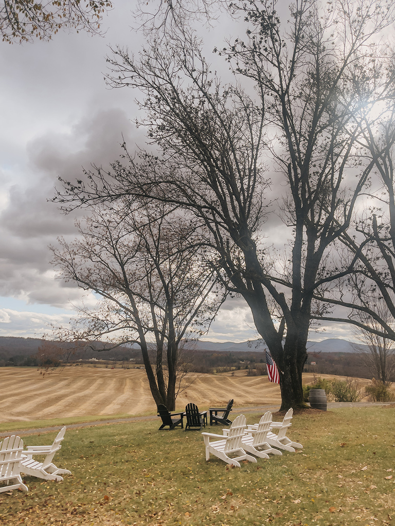 Our Favorite Waynesboro Area Wineries