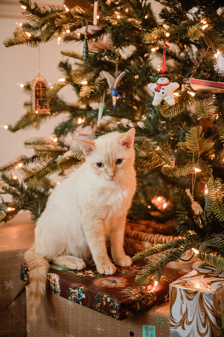 Our "Single Gift" Christmas Gift Exchange