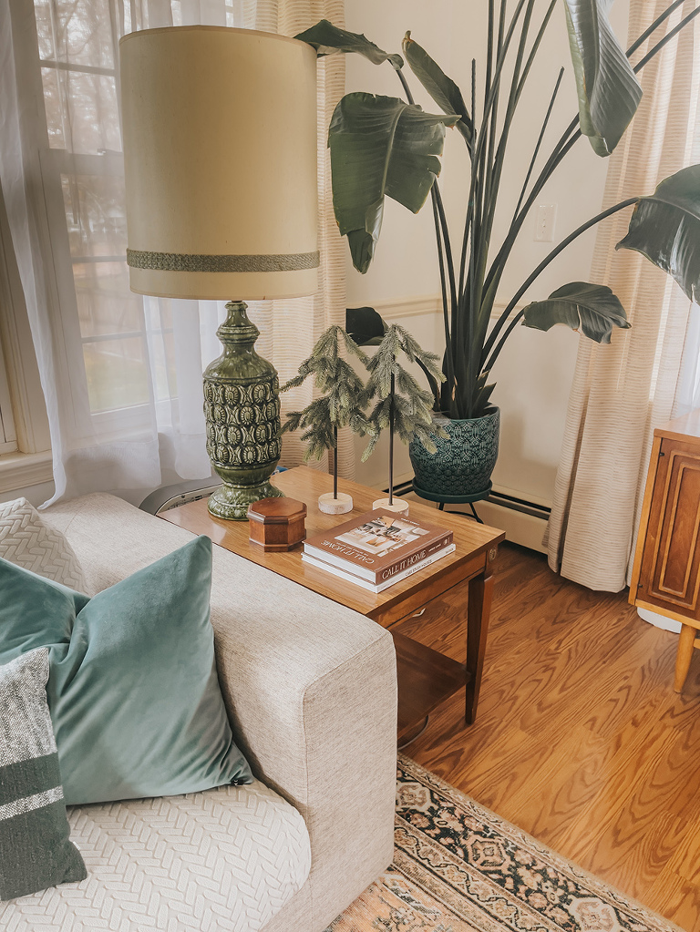 My Pet-Friendly Christmas Décor Tips