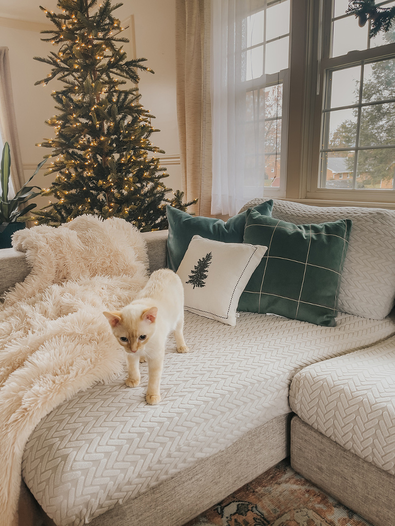 My Pet-Friendly Christmas Décor Tips