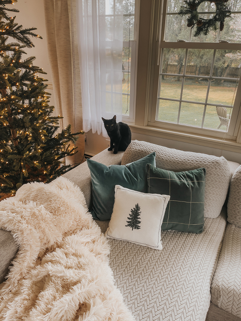 My Pet-Friendly Christmas Décor Tips