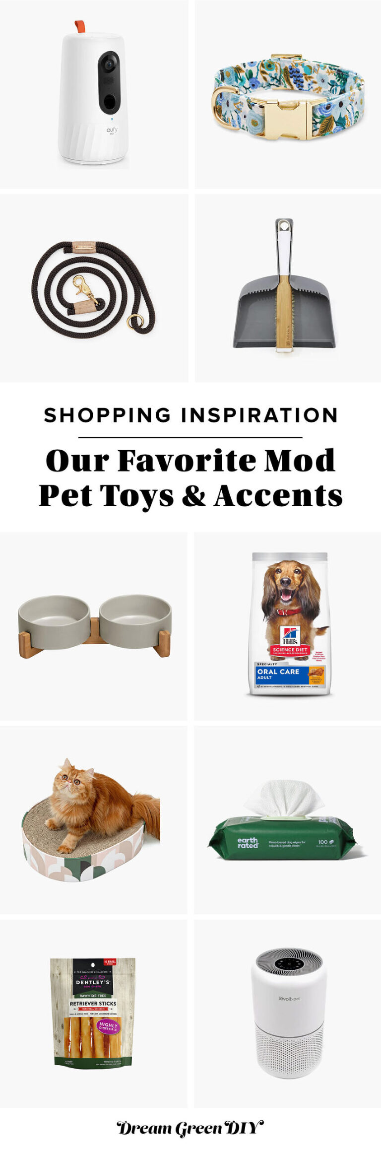 Modern Pet Treats And Accessories For Dogs And Cats