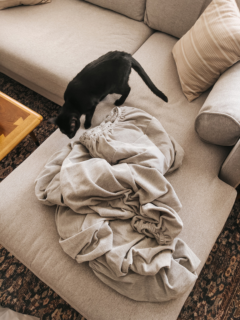 New Pet-Proof Chenille Couch Covers