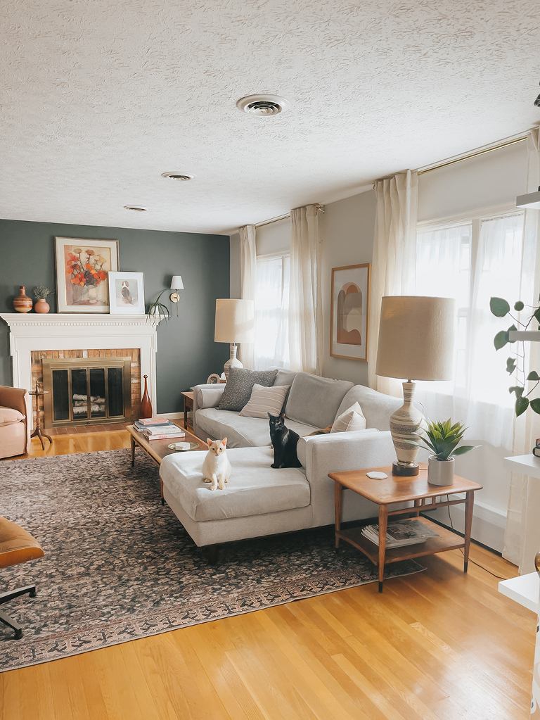 New Pet-Proof Chenille Couch Covers