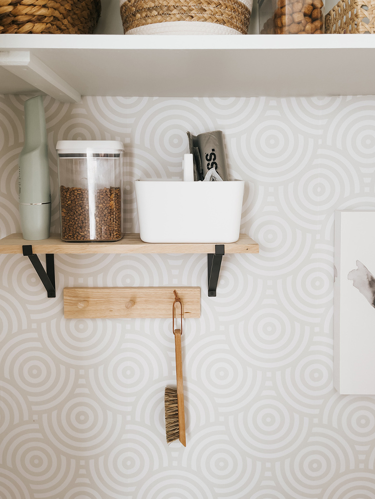 My Best Kitten Litter Training Tips