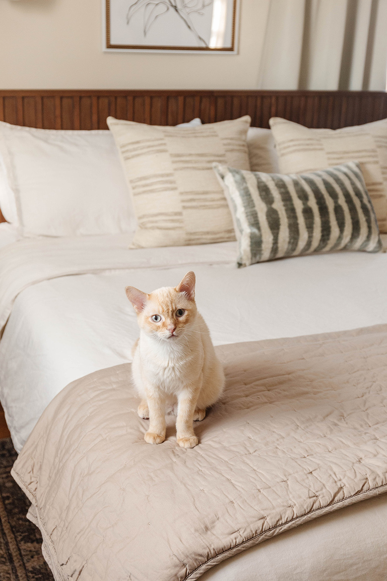 How To Remove Stubborn Old Wallpaper (And How To Repair Your Walls Afterward!)