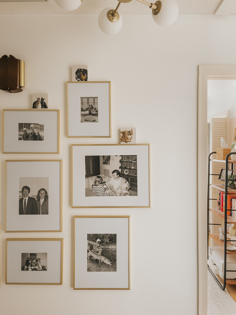 Ways To Honor Beloved Late Pets