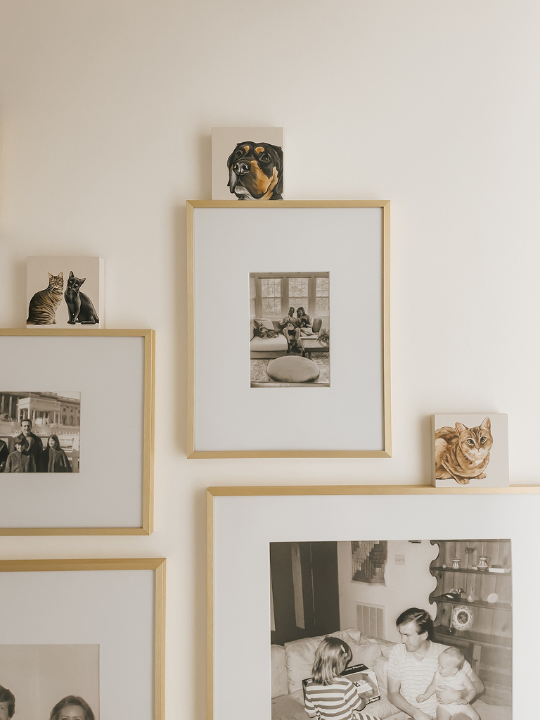 Ways To Honor Beloved Late Pets