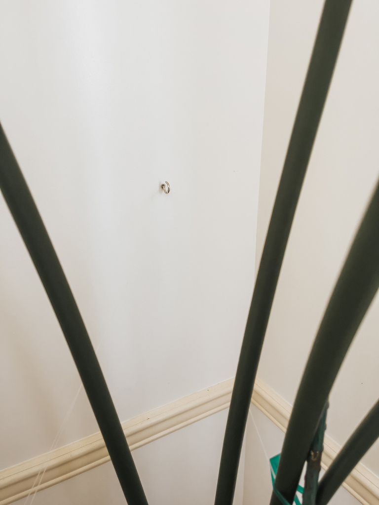 Supporting An Overgrown Bird Of Paradise