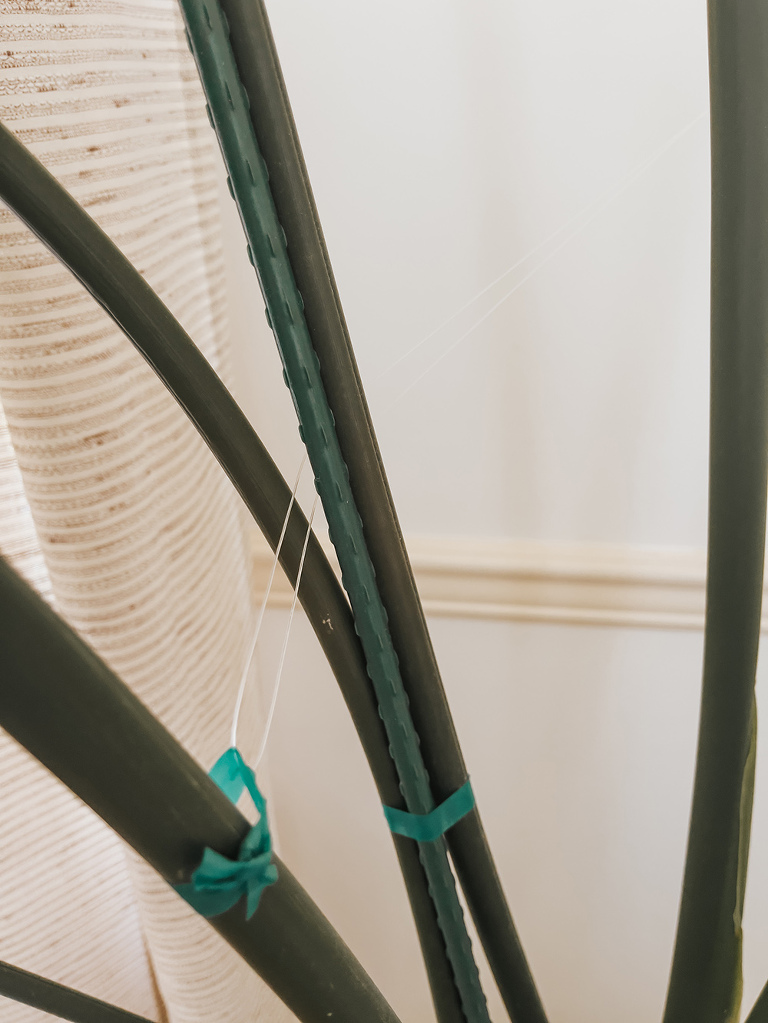 Supporting An Overgrown Bird Of Paradise