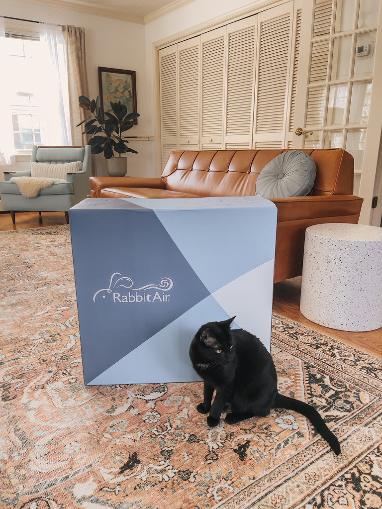 Rabbit Air MinusA2 Air Purifier Review | dreamgreendiy.com + @rabbitair (ad/gifted)