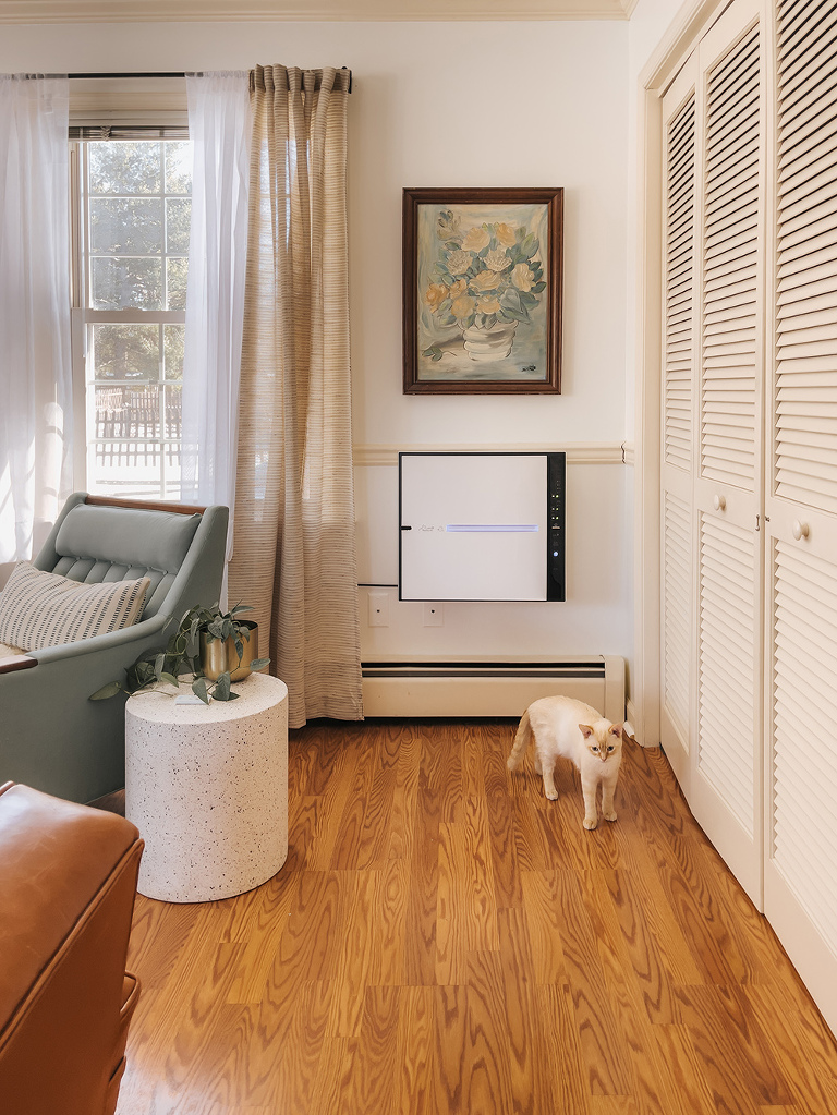 Rabbit Air MinusA2 Air Purifier Review | dreamgreendiy.com + @rabbitair (ad/gifted)