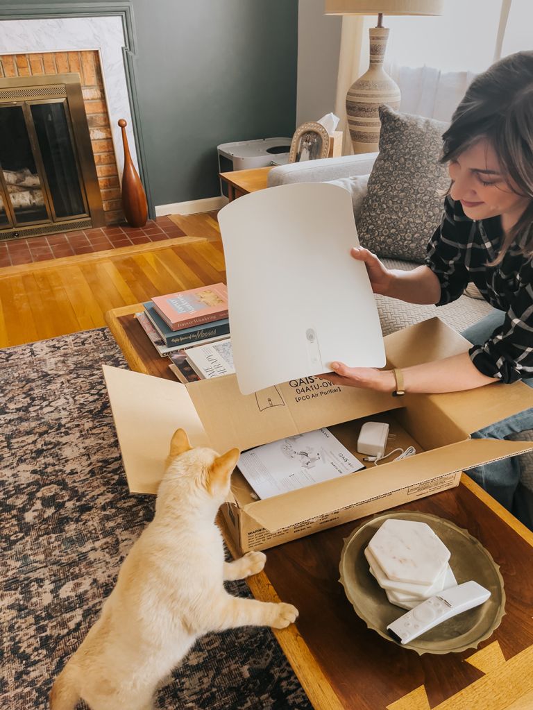 The Best Cat Litter Box Air Purifier | dreamgreendiy.com + #SUNSTARQAIS (ad/gifted)