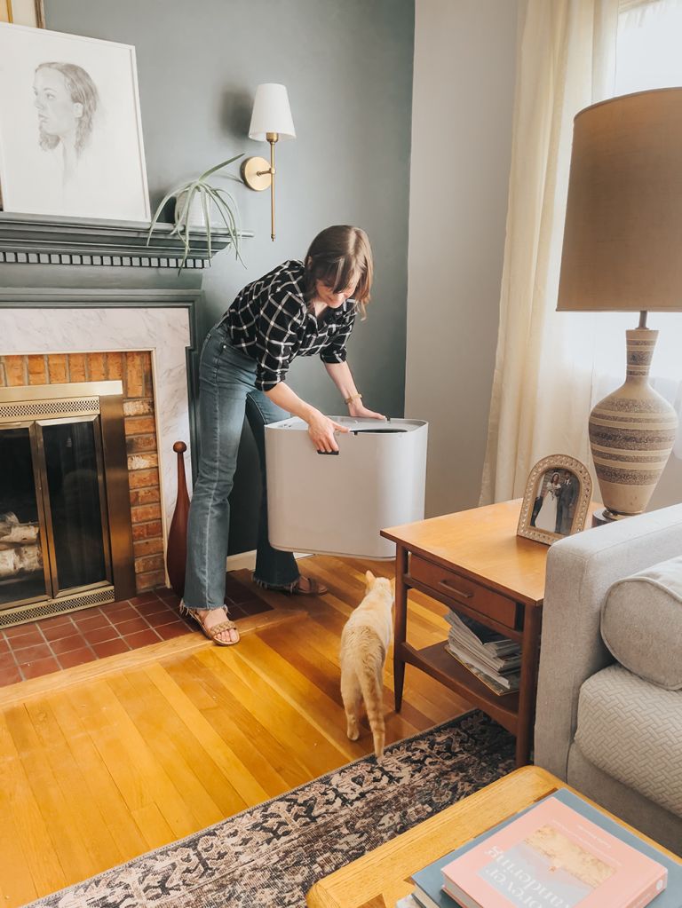 The Best Cat Litter Box Air Purifier | dreamgreendiy.com + #SUNSTARQAIS (ad/gifted)