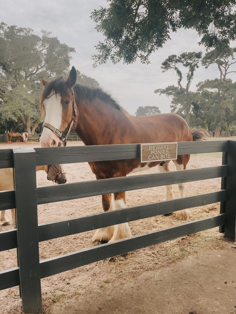 Vacationing On Hilton Head Island, SC