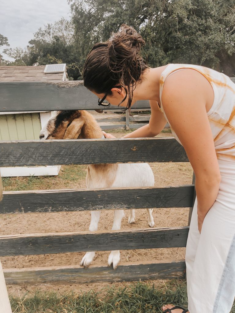 Vacationing On Hilton Head Island, SC