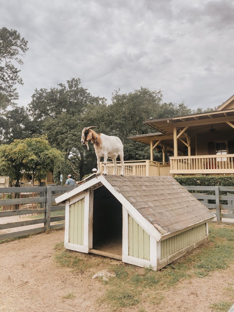 Vacationing On Hilton Head Island, SC