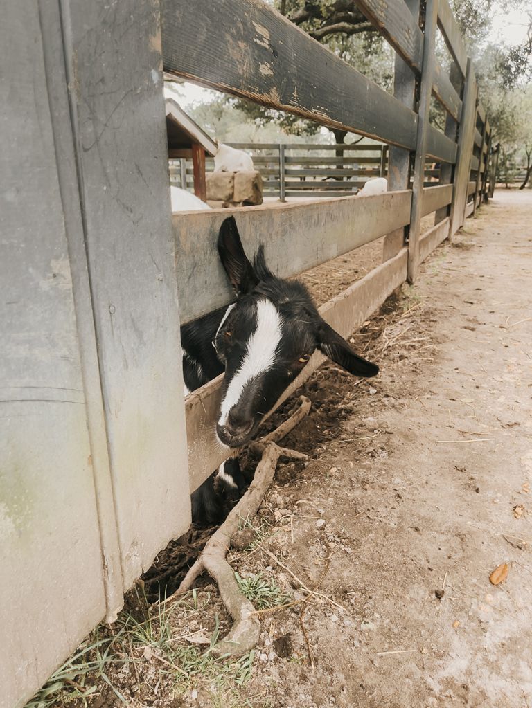 Vacationing On Hilton Head Island, SC