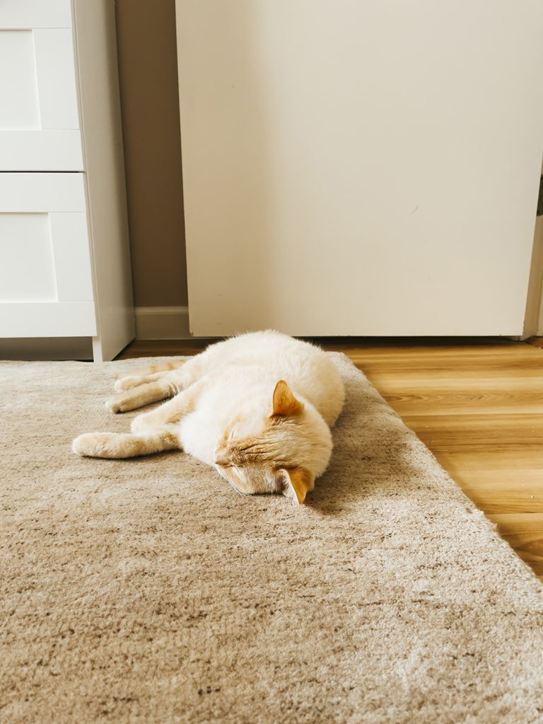 How To Source A Custom Size Rug | dreamgreendiy.com + revival_rugs #RevivalPartner #ad #RevivalRugs