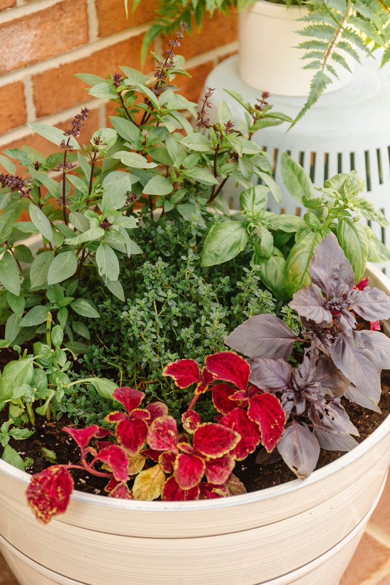 Summer Porch Decorating With Flowers And Herbs