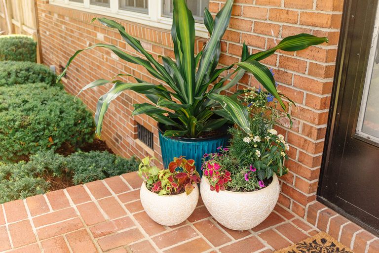 Summer Porch Decorating With Flowers And Herbs