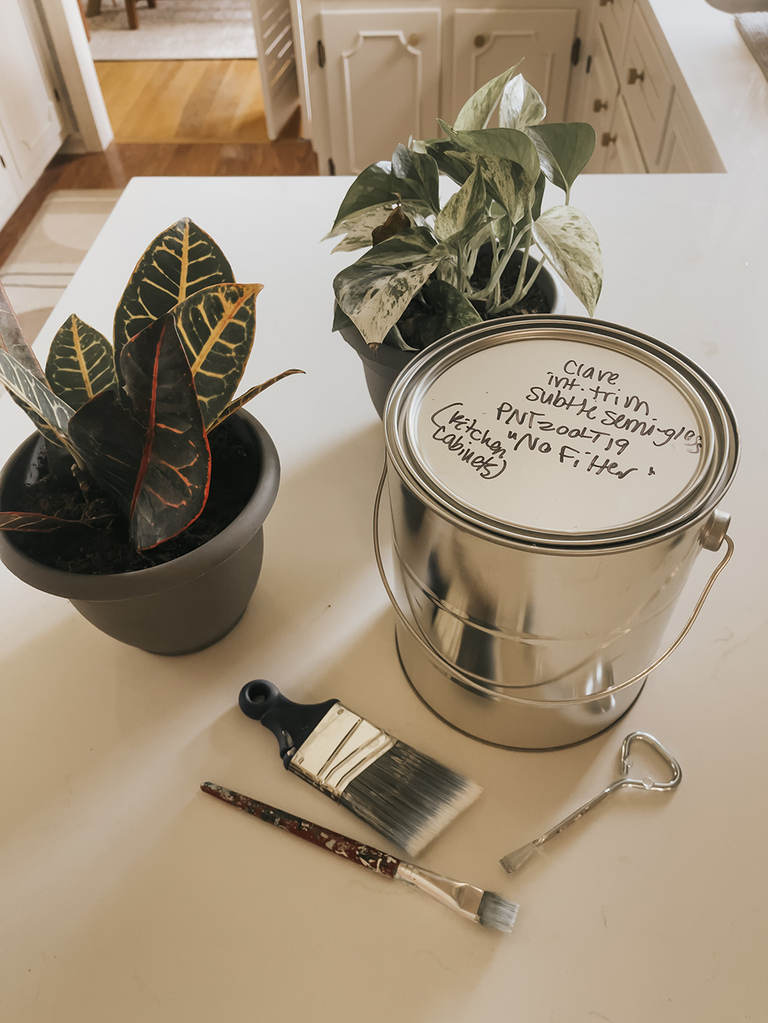 DIY Wall-Mounted Gardening Idea