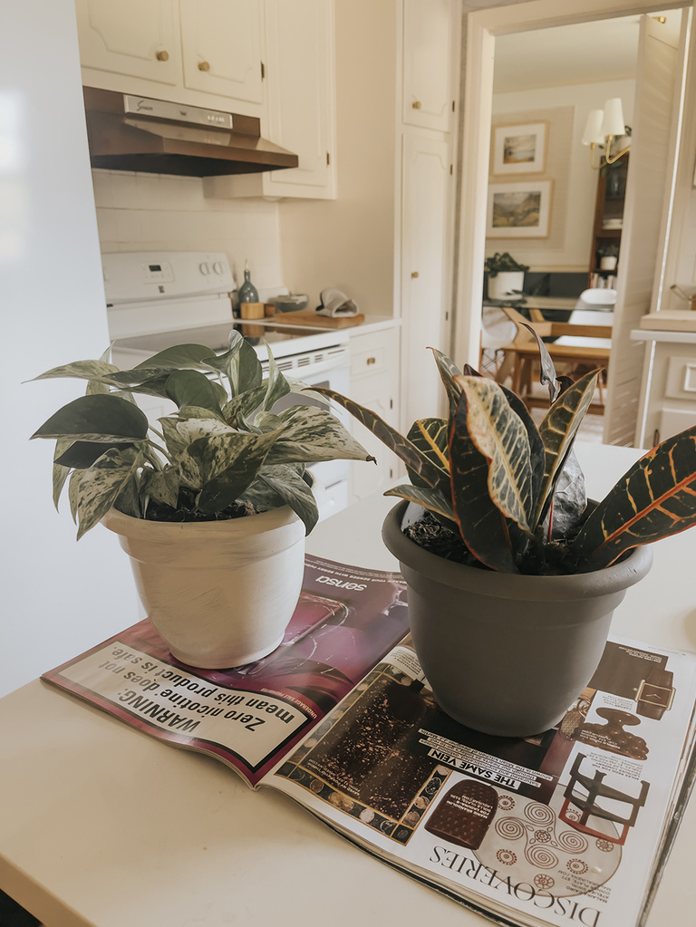 DIY Wall-Mounted Gardening Idea