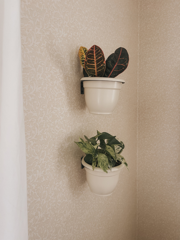 DIY Wall-Mounted Gardening Idea