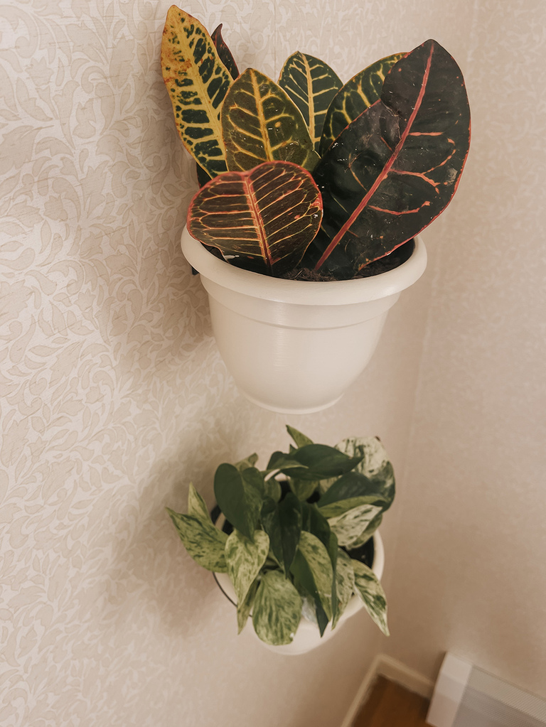 DIY Wall-Mounted Gardening Idea