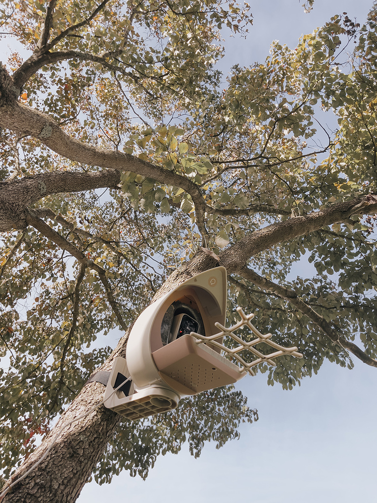 PeckPerk Smart Bird Feeder Review | dreamgreendiy.com + @peckperkllc (ad/gifted)