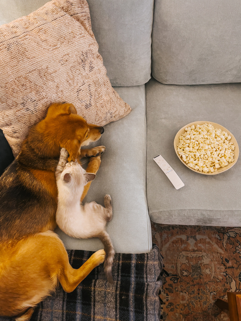 Fall Styling And New Couch Covers