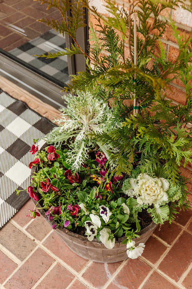 DIY Winter Barrel Garden For Your Porch