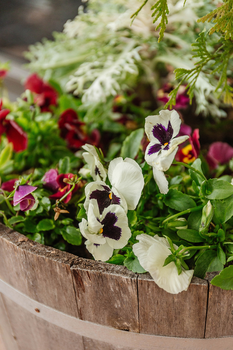 DIY Winter Barrel Garden For Your Porch