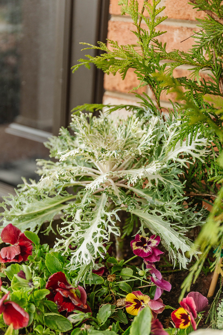 DIY Winter Barrel Garden For Your Porch