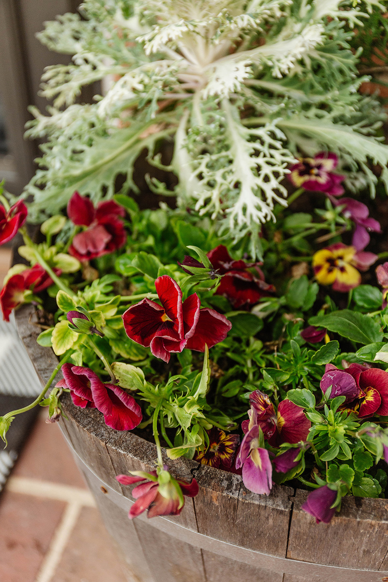 DIY Winter Barrel Garden For Your Porch