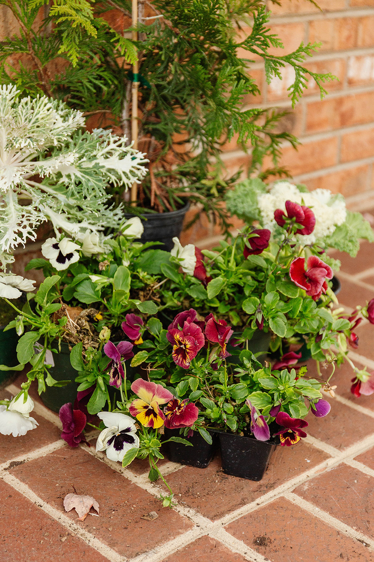 DIY Winter Barrel Garden For Your Porch