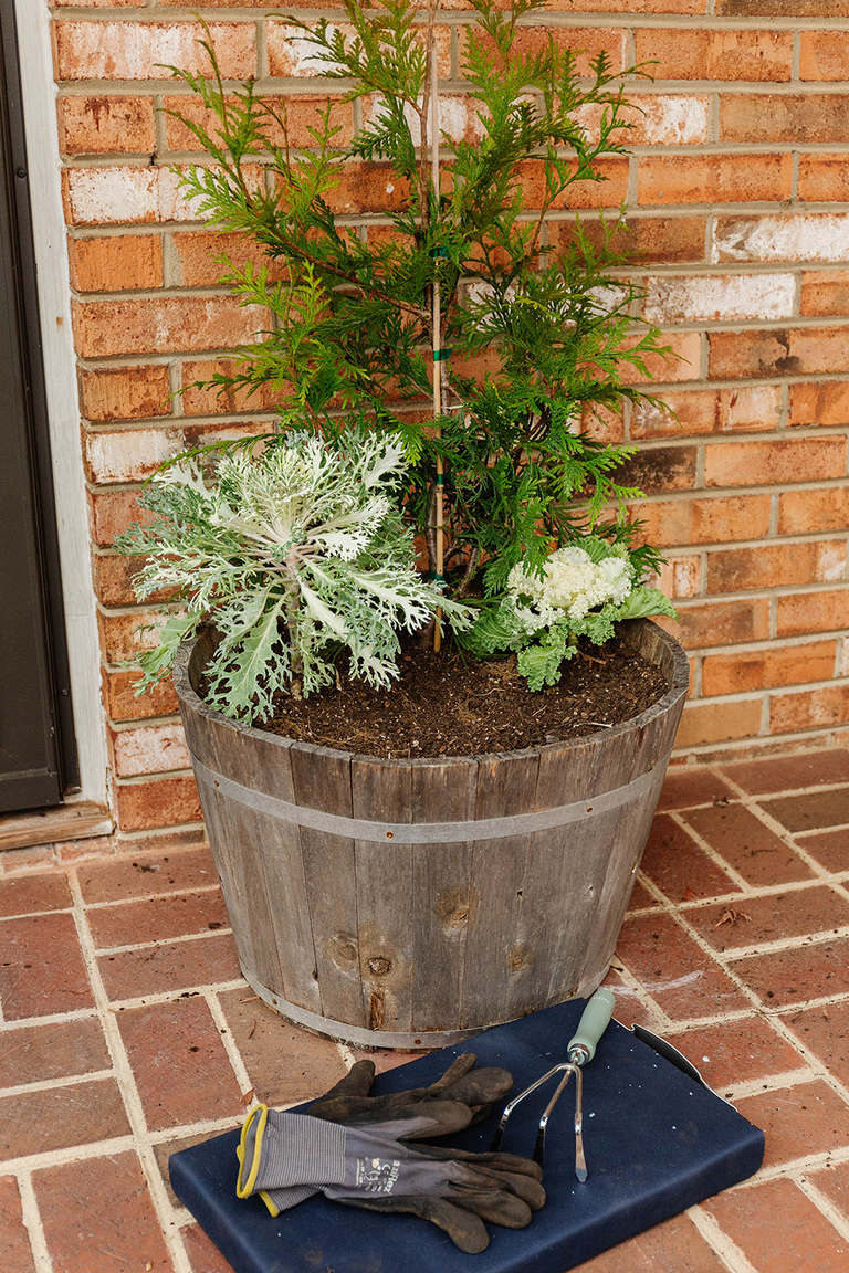 DIY Winter Barrel Garden For Your Porch