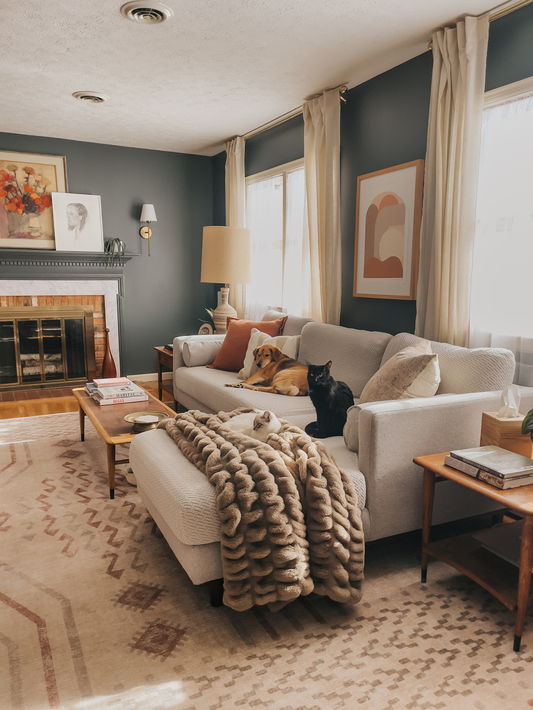 How To Have An Aesthetic Home With Pets