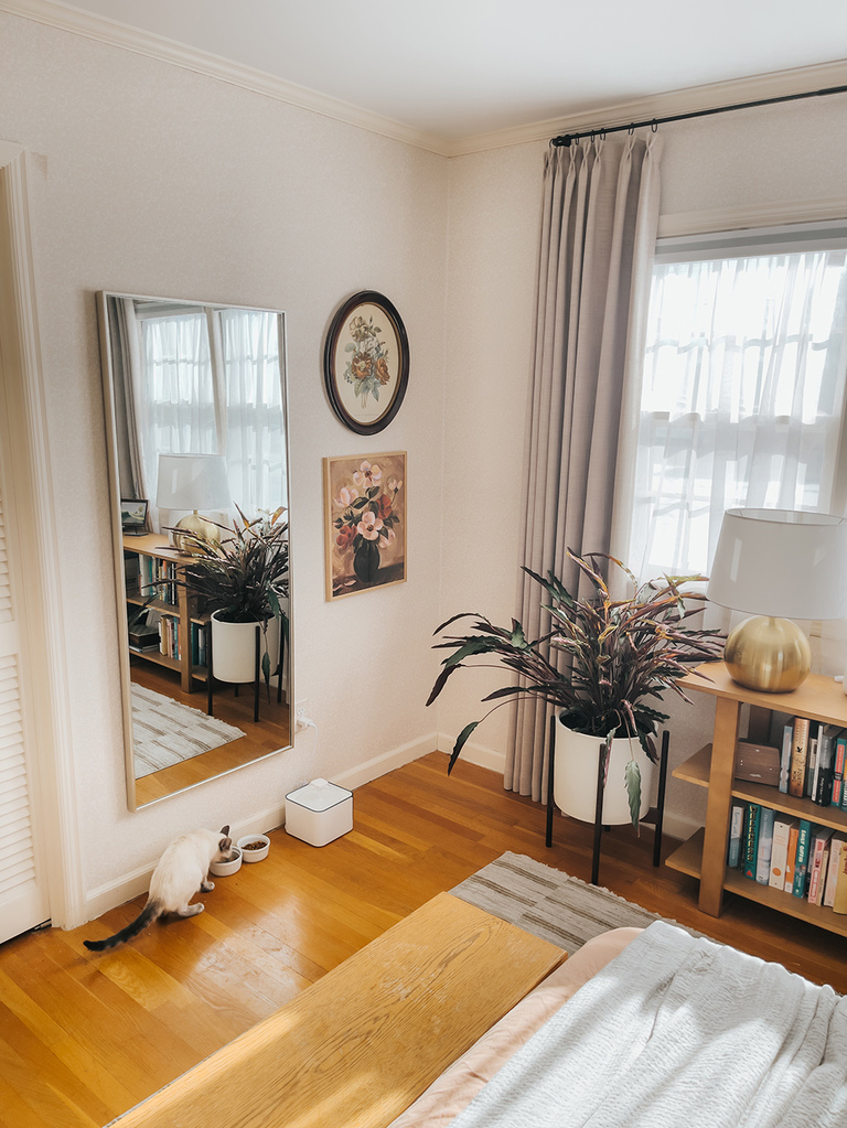 How To Have An Aesthetic Home With Pets