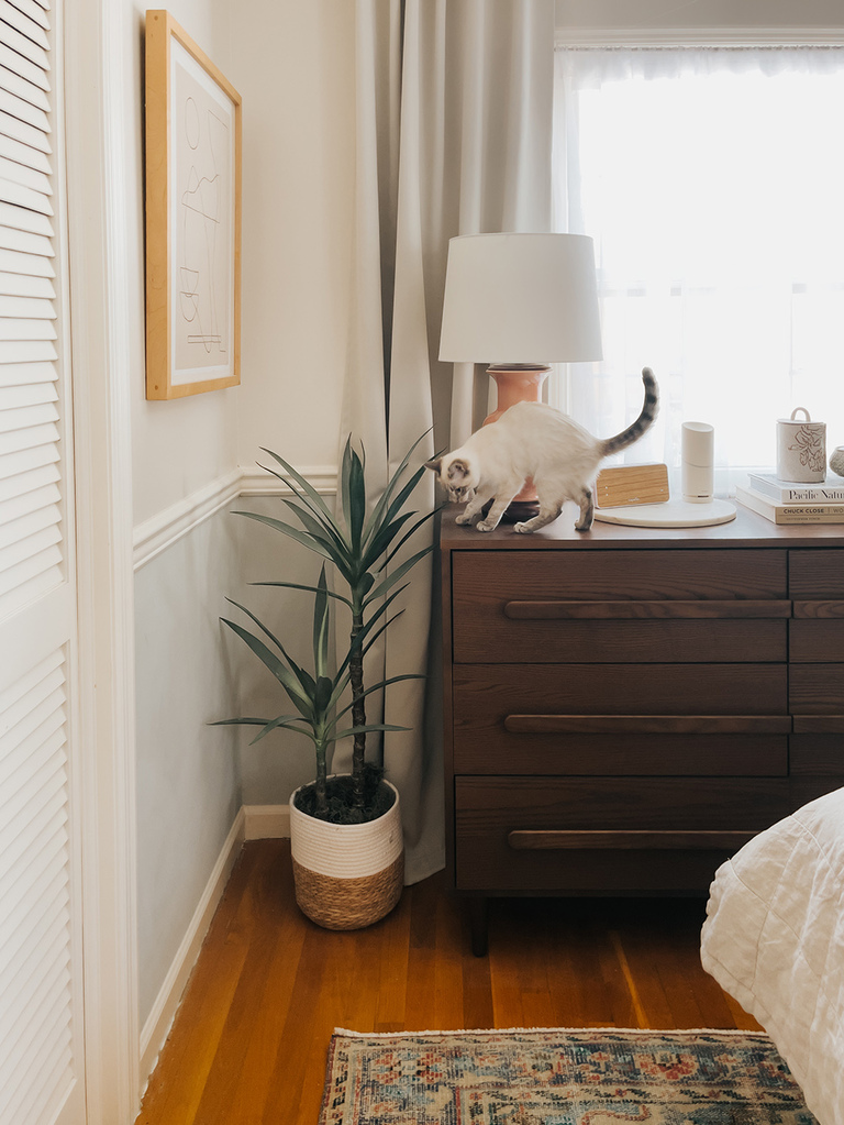How To Have An Aesthetic Home With Pets