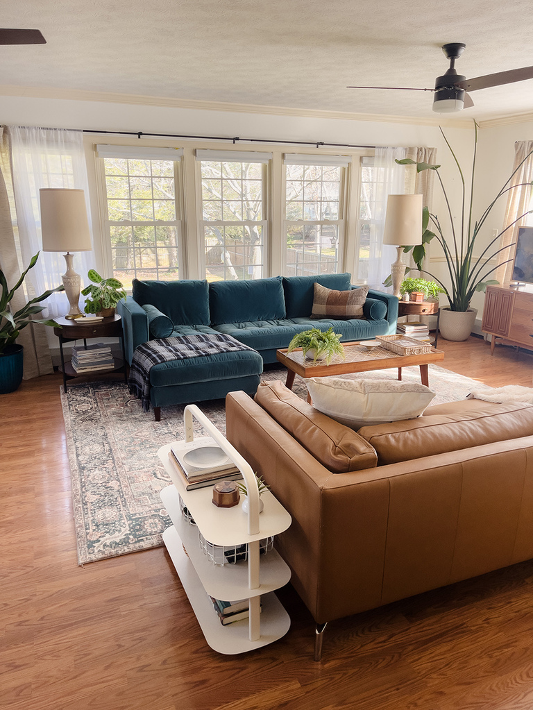 How To Protect Your Couch From Pets