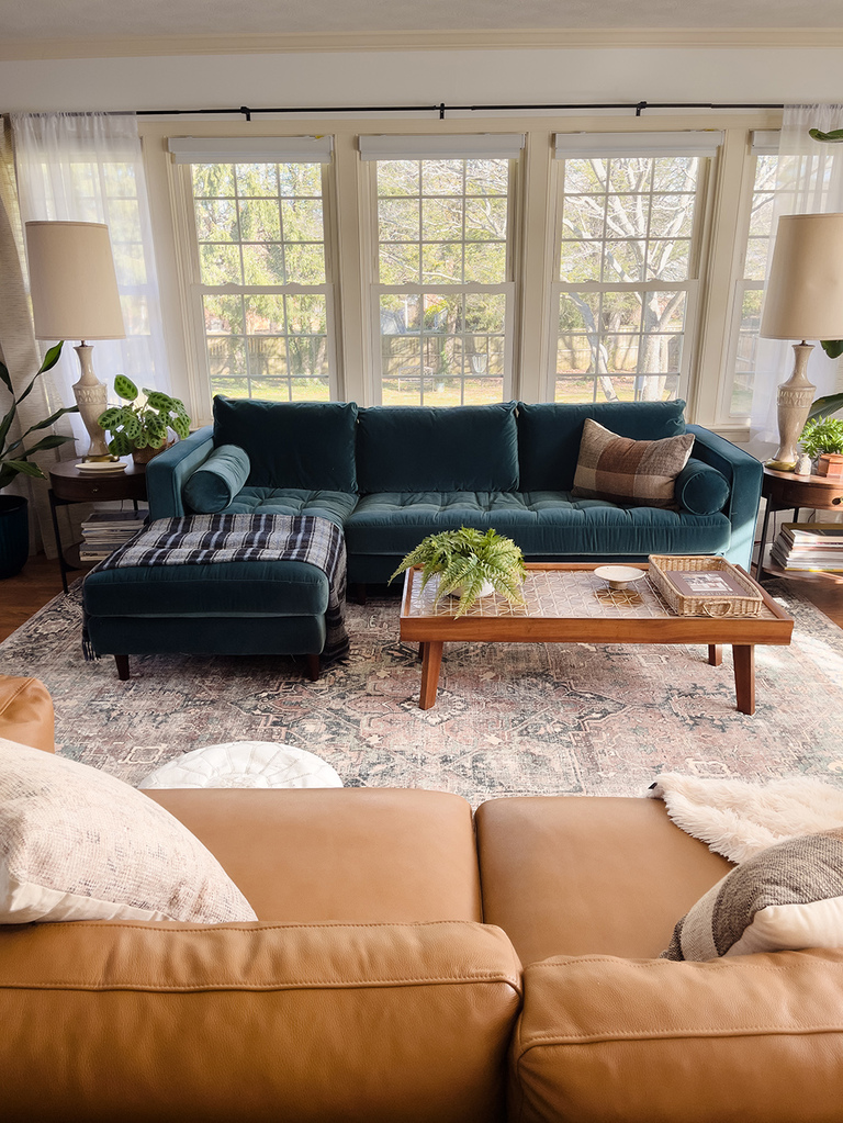 How To Protect Your Couch From Pets