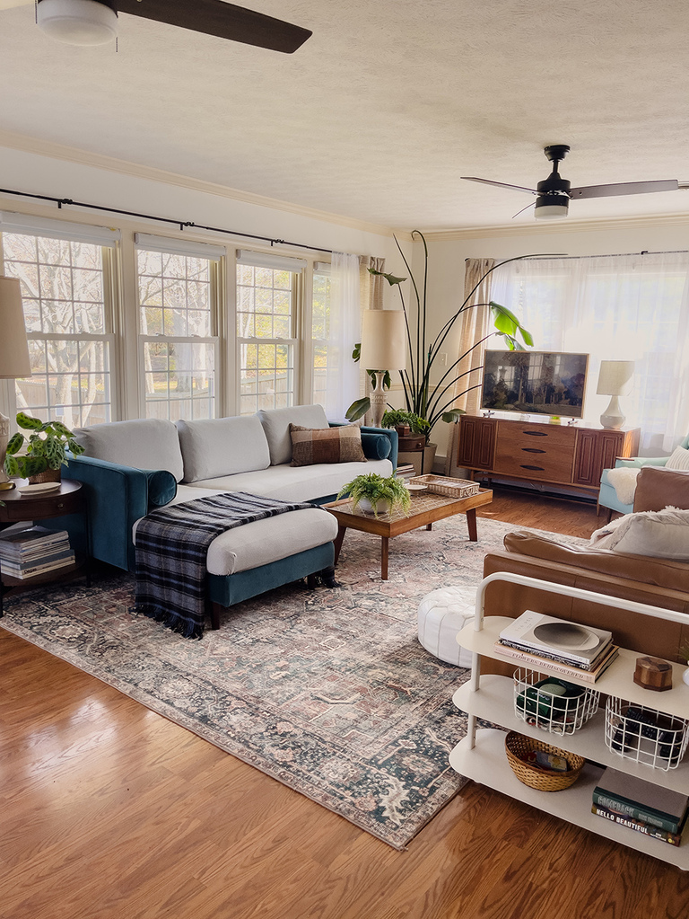 How To Protect Your Couch From Pets