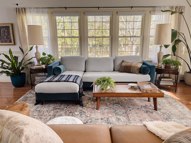 How To Protect Your Couch From Pets