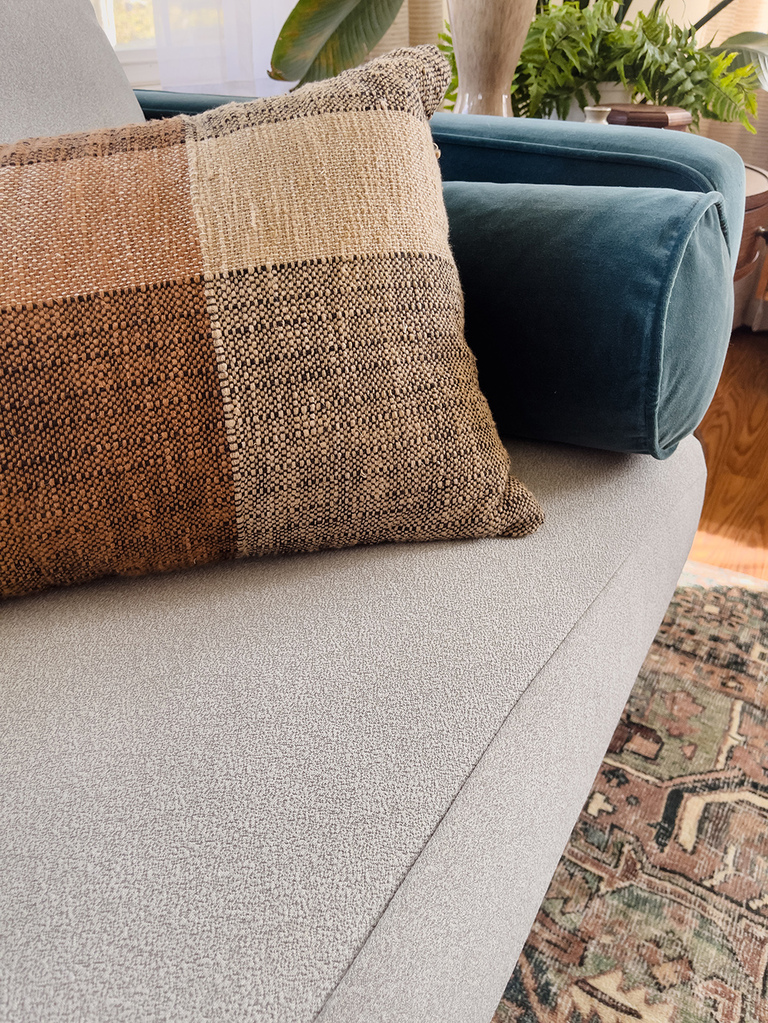 How To Protect Your Couch From Pets