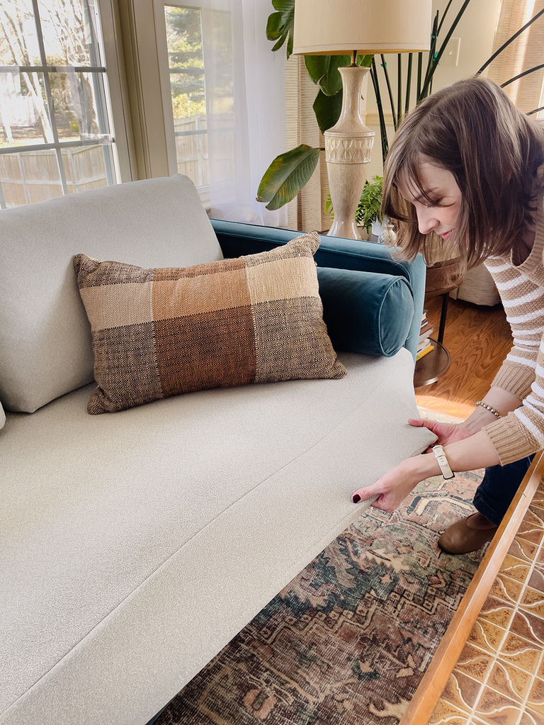 How To Protect Your Couch From Pets