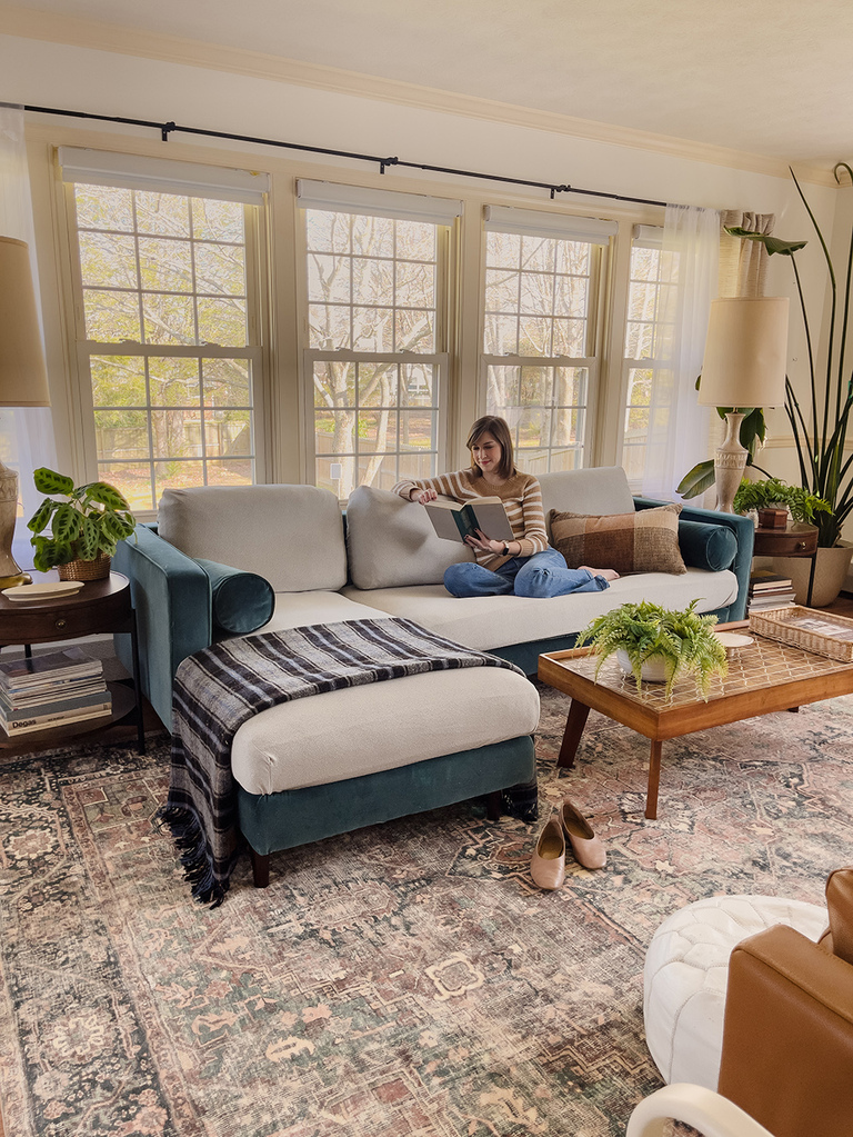 How To Protect Your Couch From Pets